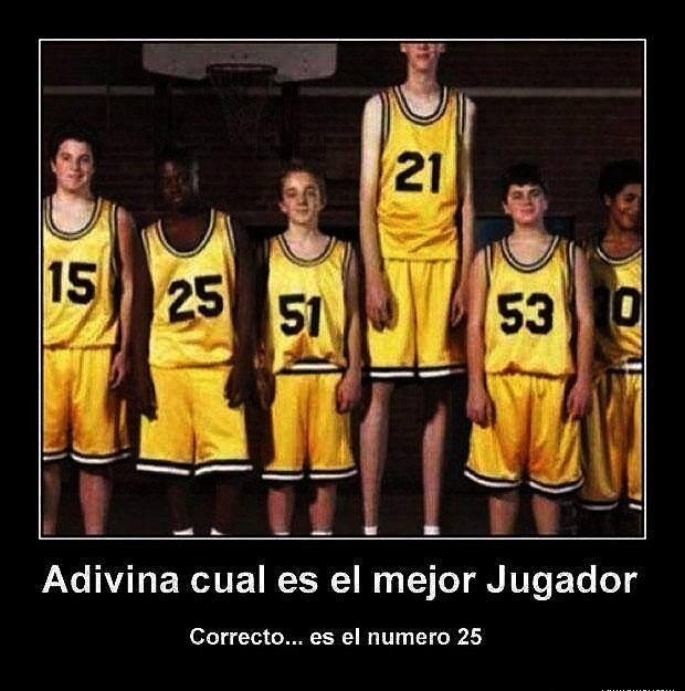 cual es el mejor