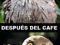 despues