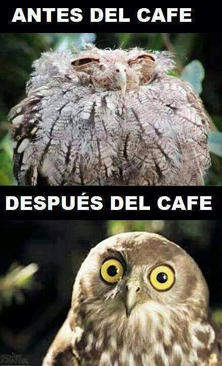 despues