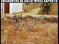 encuentra el gato