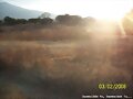 Campo