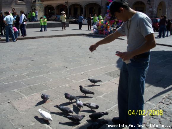 Palomas