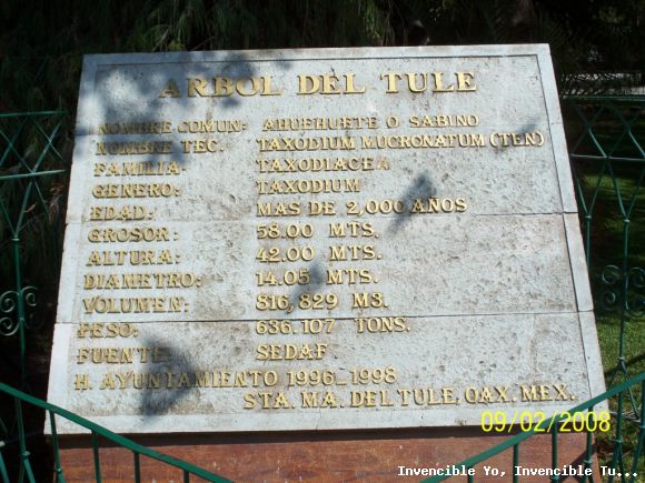 DATOS DEL TULE