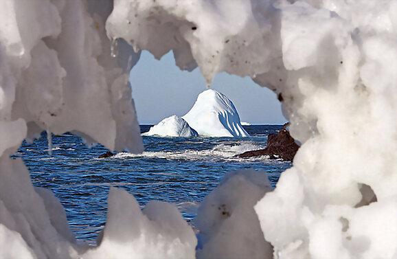 Iceberg