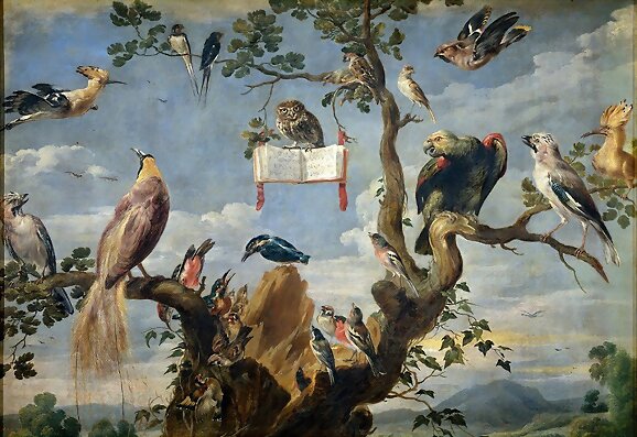 Concierto de Aves