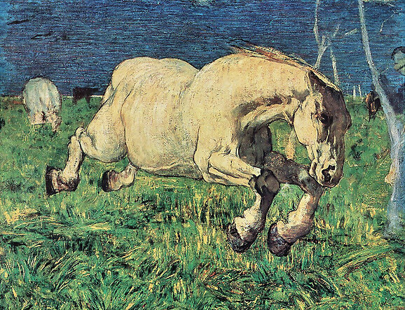 A galopar