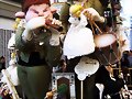 Fallas: Valencia ruge