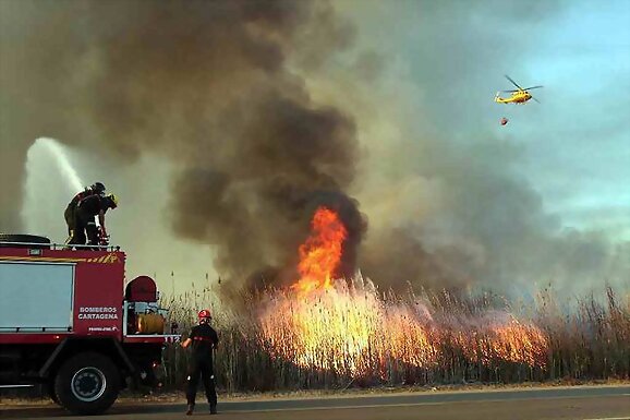Incendios forestales