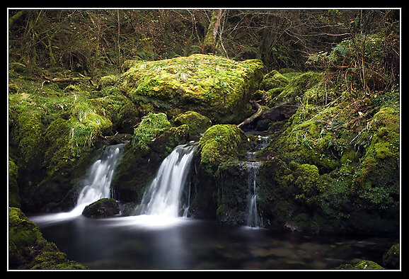 Las fuentes