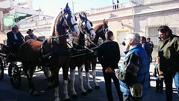 San Antón saca a las viejas del rincón