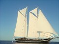 Beatrice, un museo en el fondo del mar.