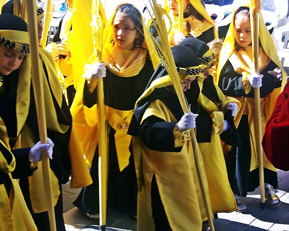 Palmas y Ramos de Olivo