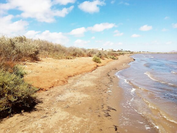 Costa virgen
