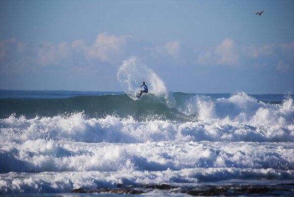 Surf