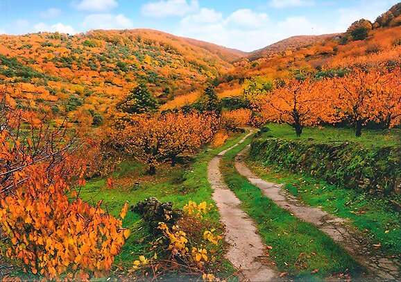 Colores de otoño en el Valle del Jerte