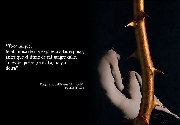 Piedad Bonnett