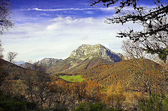 Picos de Europa