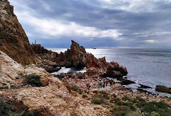Amigos, camino y tapa