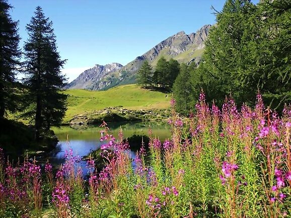 Doña Primavera