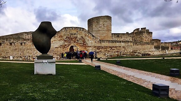 Zamora