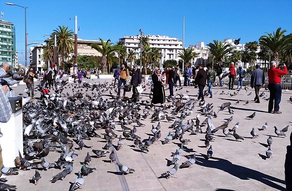 Casablanca