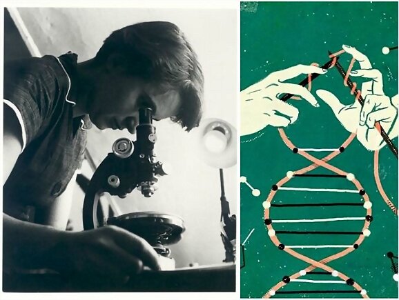 Iconos del siglo XX: Rosalind Franklin