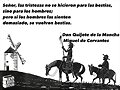La alegr&iacute;a por bandera