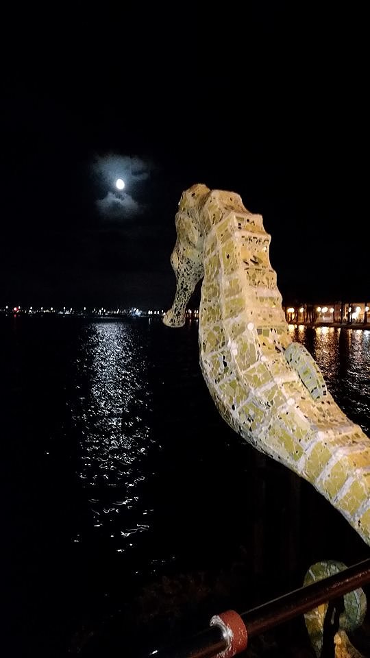 Noches de verano