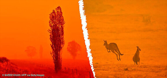 Arde Australia