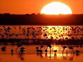 Proteger Do&ntilde;ana