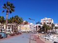 &Aacute;guilas urbana