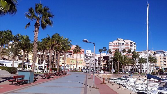 Águilas urbana