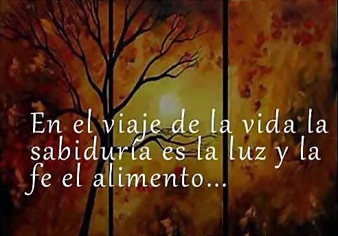En el viaje de la vida