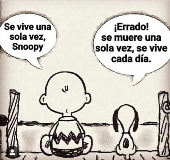 Vivir el momento