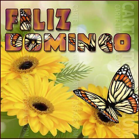 Feliz domingo