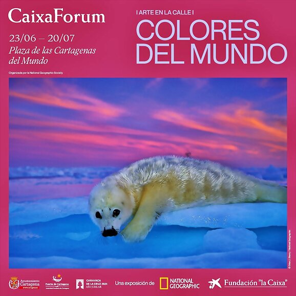 Colores del Mundo