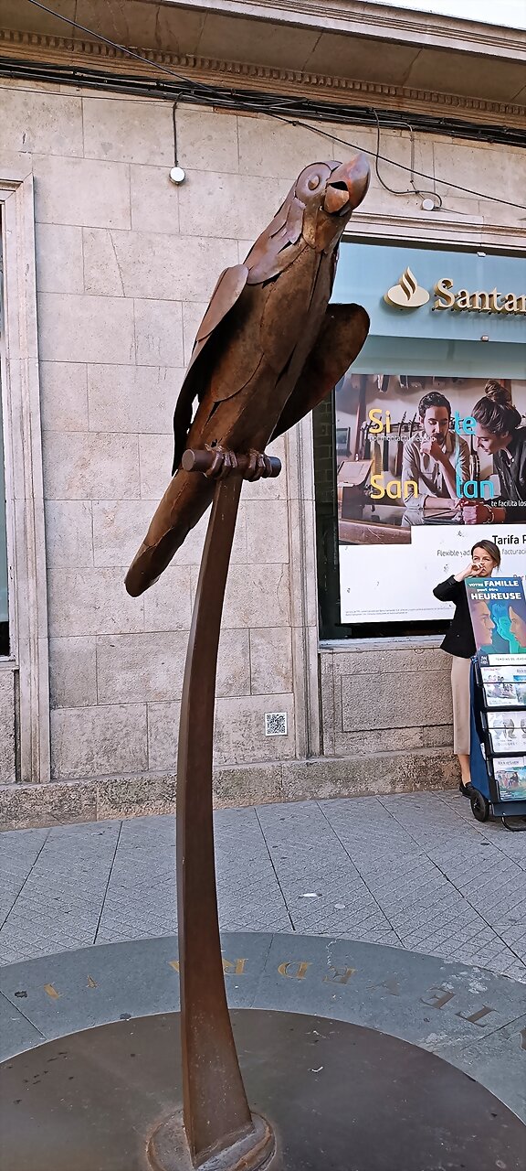 El loro Ravachol de Pontevedra