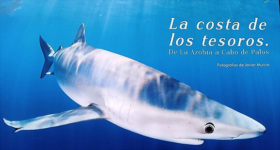 La costa de los tesoros