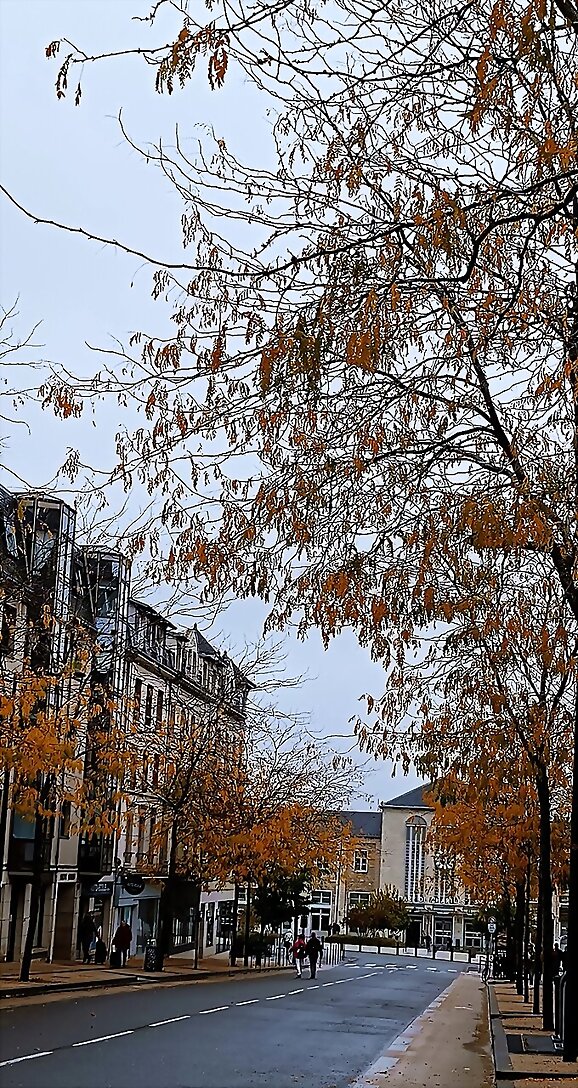 Chartres