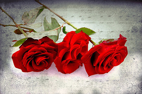 Abecedario del amor