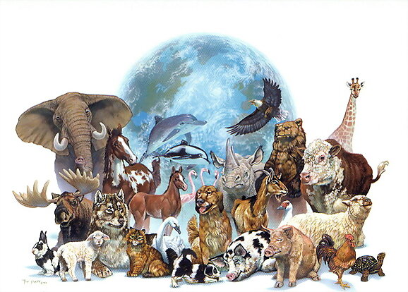 Los animales con peste