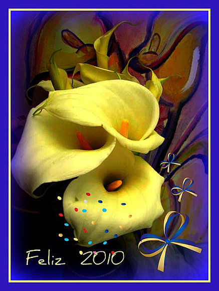 ¡Feliz año 2010!