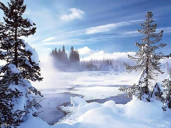 Nieve