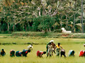 2012. A&ntilde;o Internacional de las Cooperativas