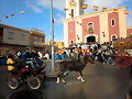 San Ant&oacute;n: Bendici&oacute;n de los animales