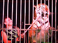 David  Elis  Circo Continental