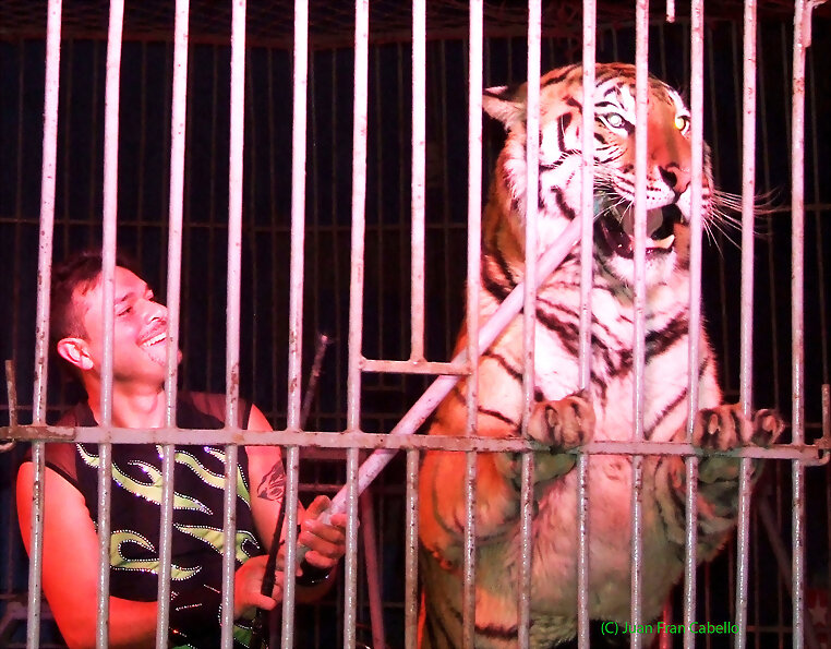 David  Elis  Circo Continental
