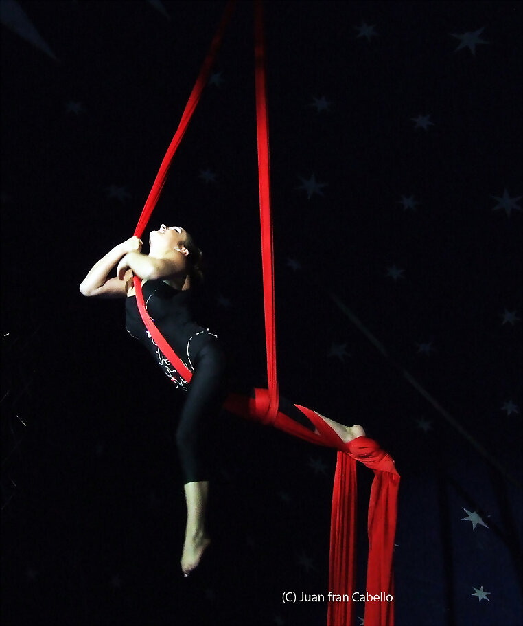 Numero de telas en el Circo Coliseo