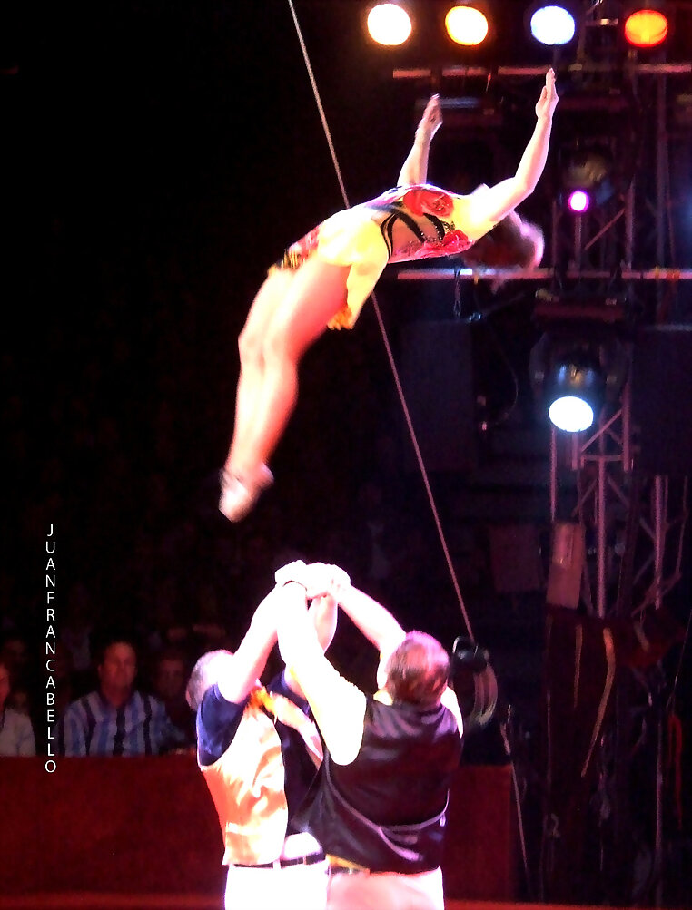 Trio Gavrosh    volteo Acrobatico
