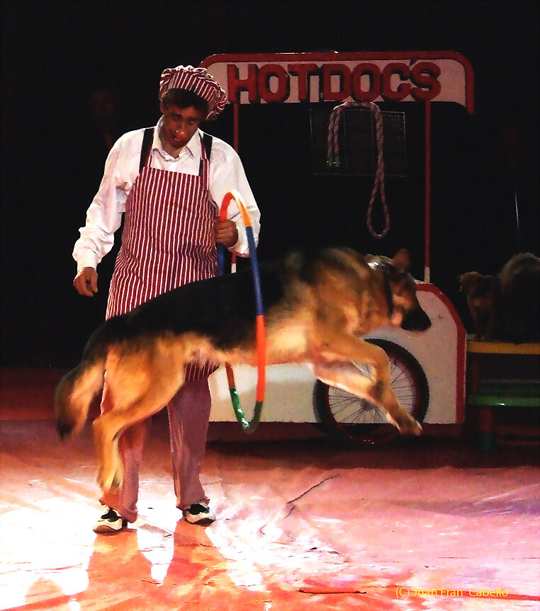 Circo Royal Malaga Abril 2012